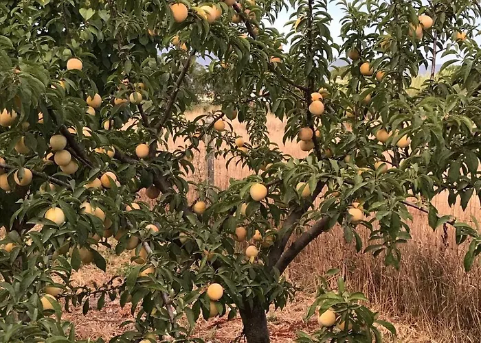 Agriturismo S\'Aranada