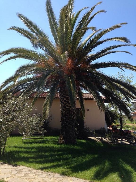 Bauernhof Agriturismo S'aranada